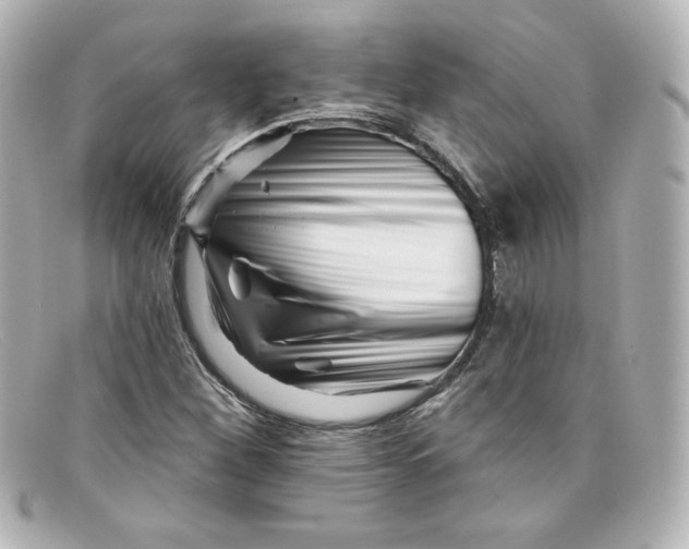 X0000098151260200805081034