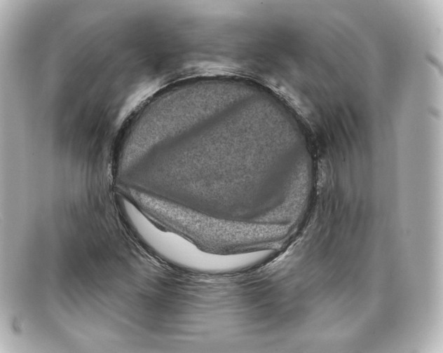 X0000098151261200805081034