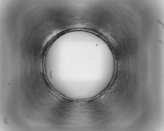 X0000098151262200805081034