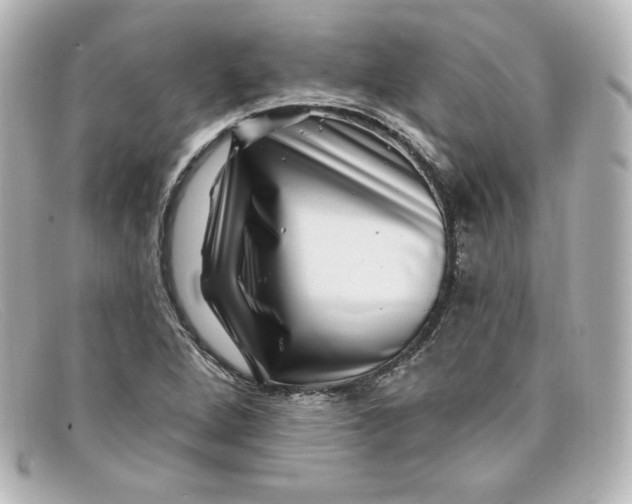 X0000098151264200805081034