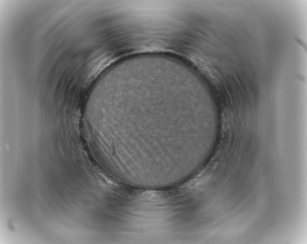 X0000098151265200805081034