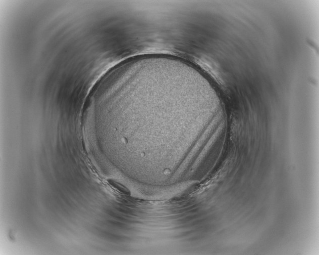 X0000098151268200805081034