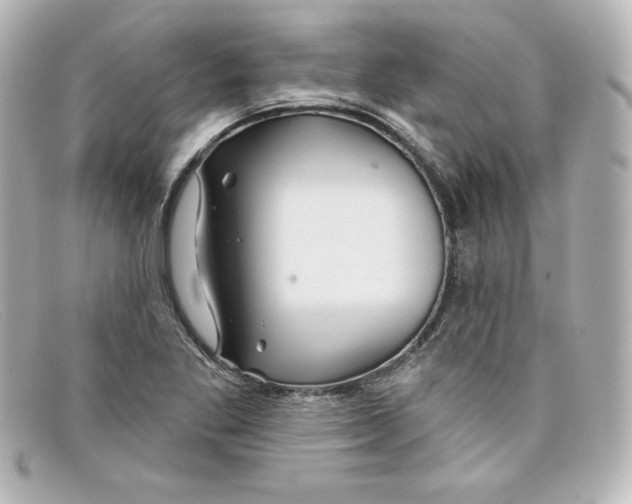 X0000098151269200805081034