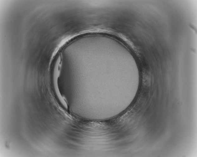 X0000098151270200805081034