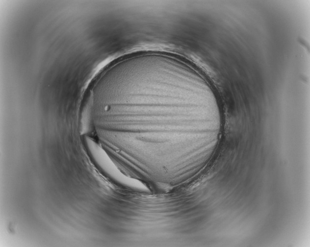 X0000098151272200805081034