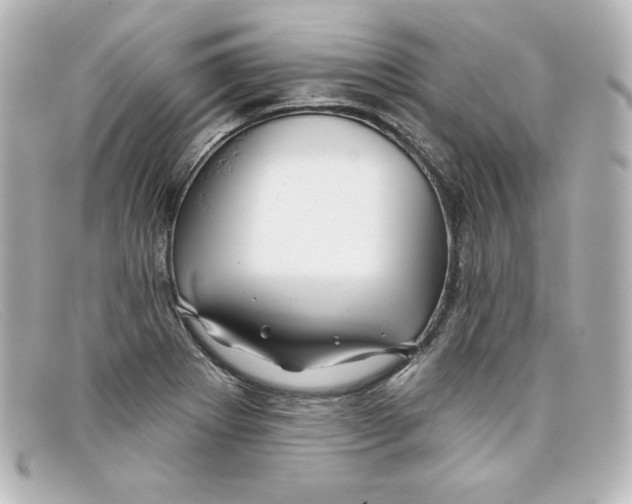 X0000098151273200805081034