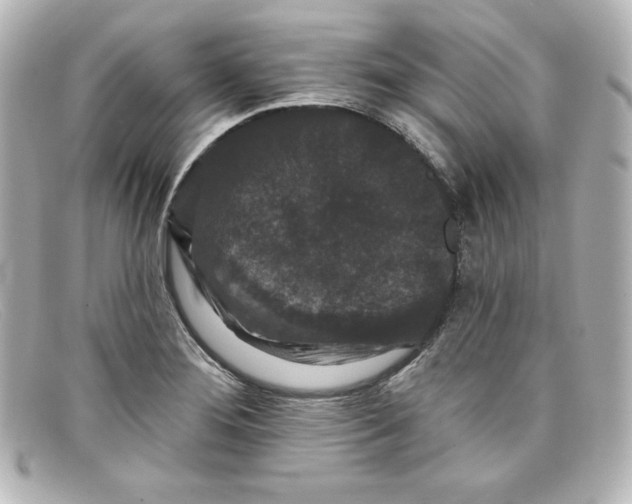 X0000098151276200805081034