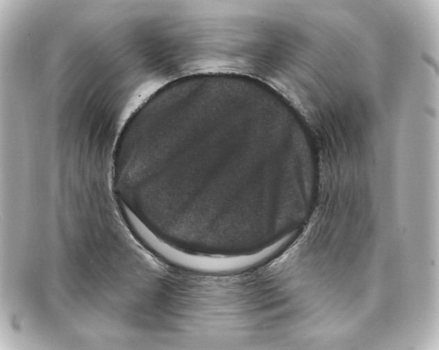 X0000098151277200805081034