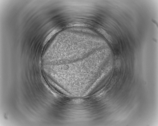 X0000098151282200805081034
