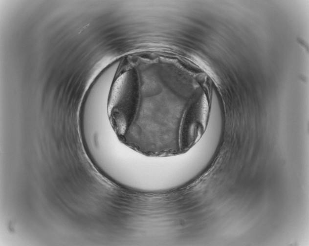 X0000098151283200805081034
