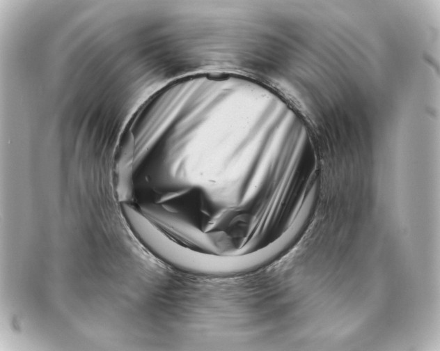 X0000098151284200805081034