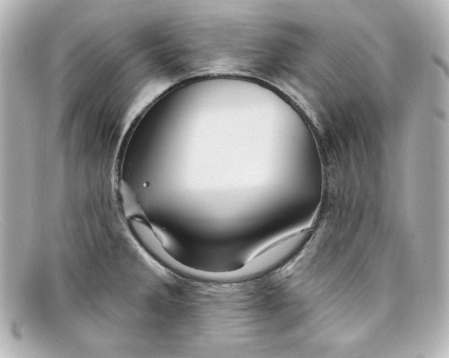 X0000098151285200805081034