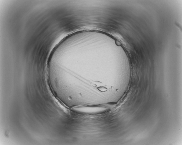 X0000098151286200805081034