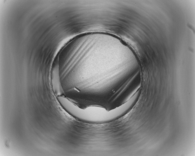 X0000098151288200805081034