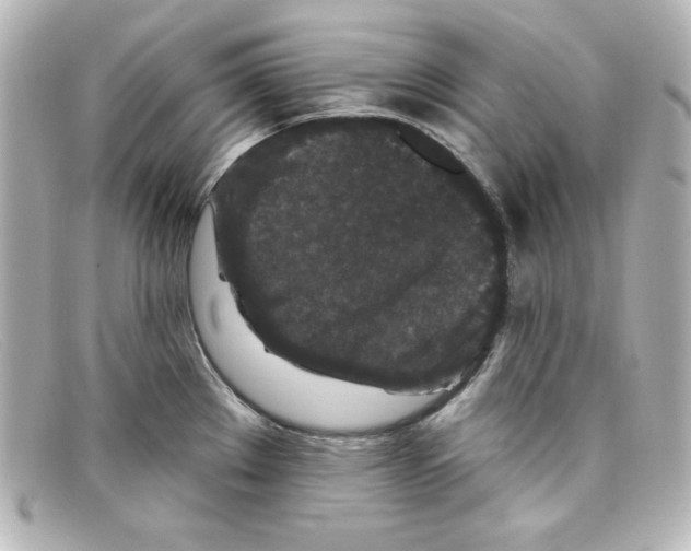 X0000098151289200805081034