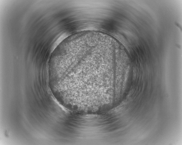 X0000098151290200805081034