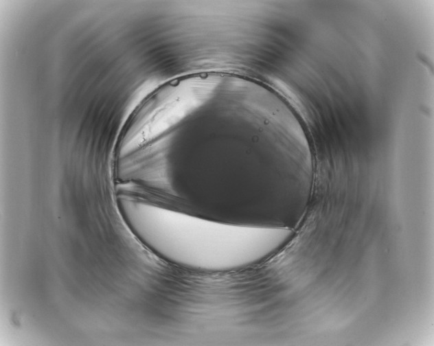 X0000098151291200805081034