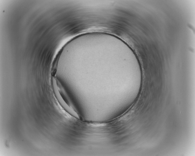 X0000098151296200805081034