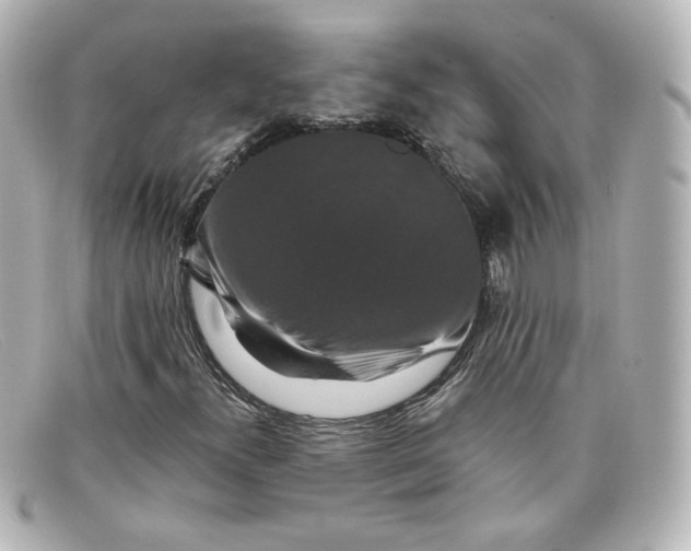 X0000098151300200805081033