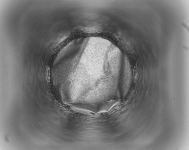 X0000098151301200805081033