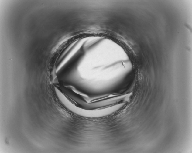 X0000098151304200805081033
