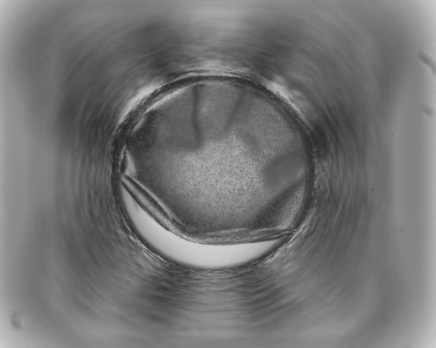 X0000098151307200805081033