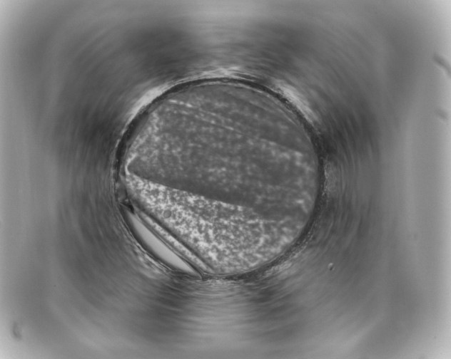 X0000098151308200805081033
