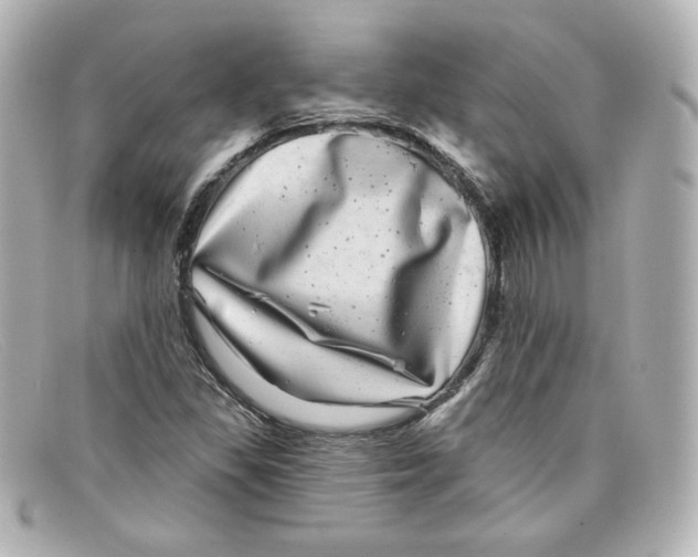 X0000098151309200805081033