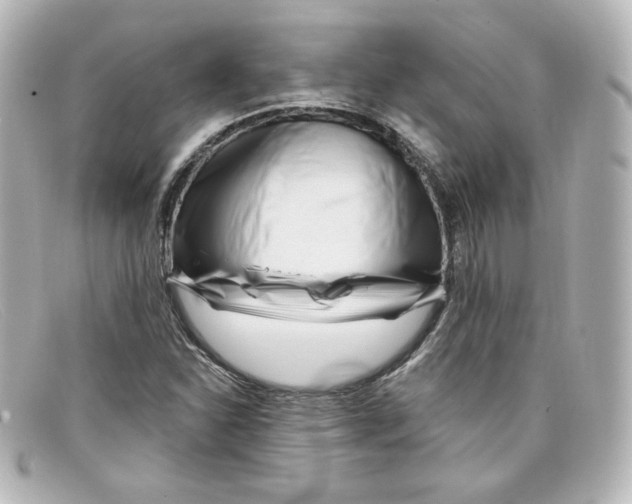 X0000098151310200805081033