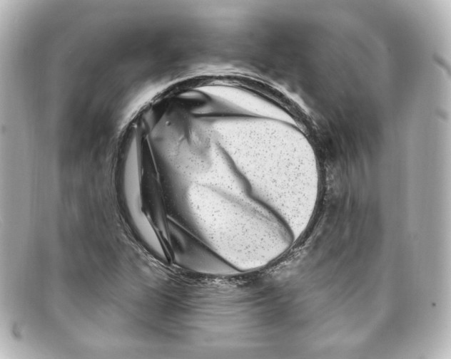X0000098151311200805081033