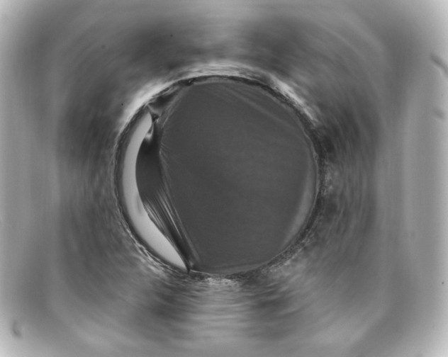 X0000098151312200805081033