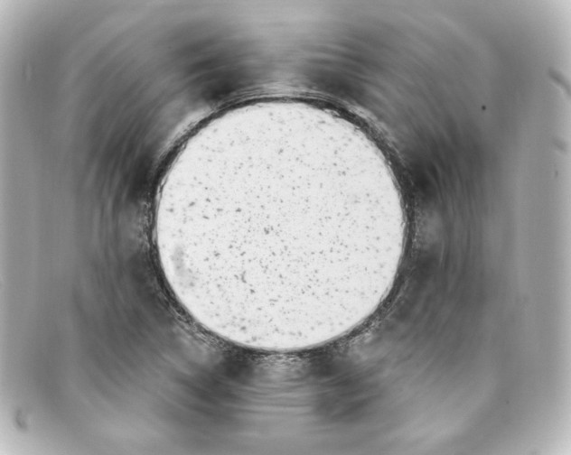 X0000098151314200805081033