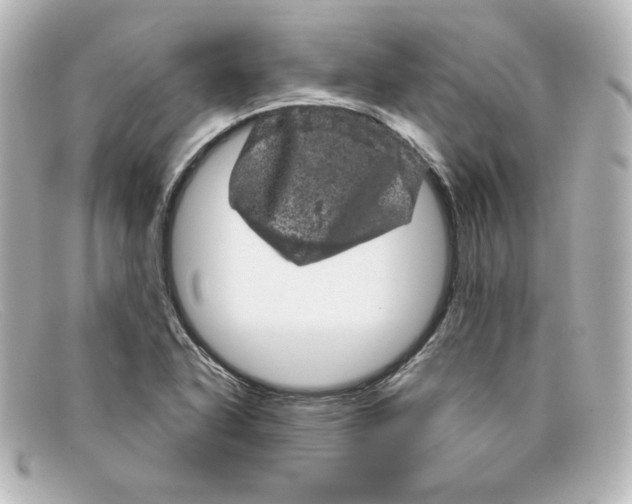 X0000098151318200805081033