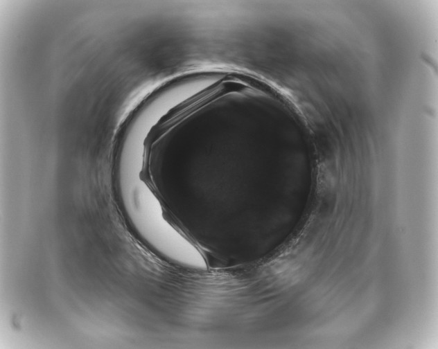 X0000098151319200805081033