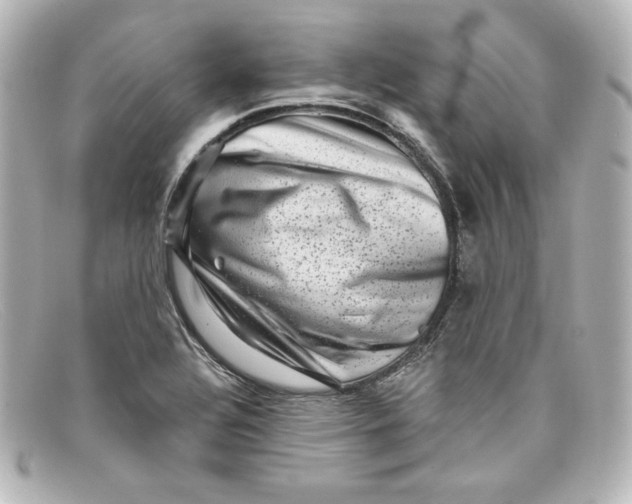 X0000098151320200805081033