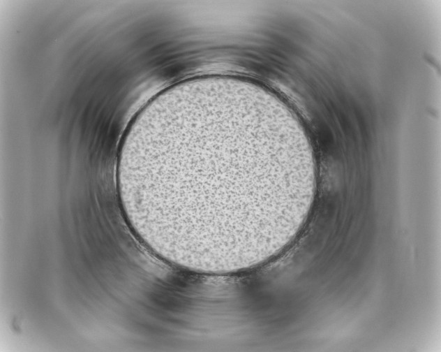 X0000098151322200805081033