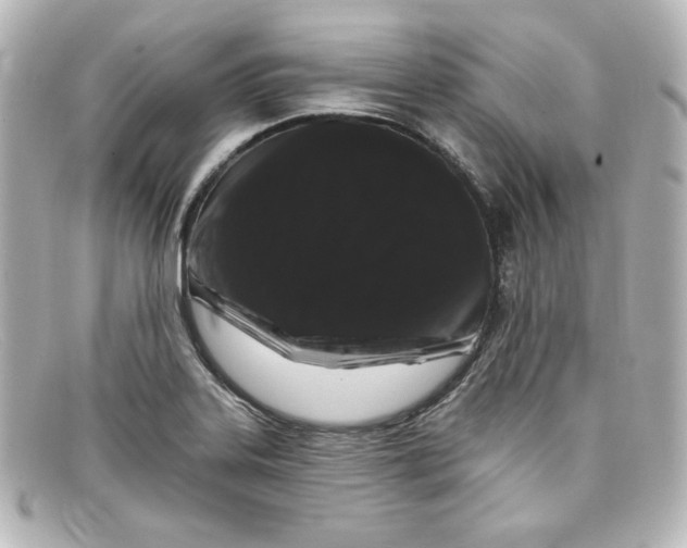 X0000098151323200805081033