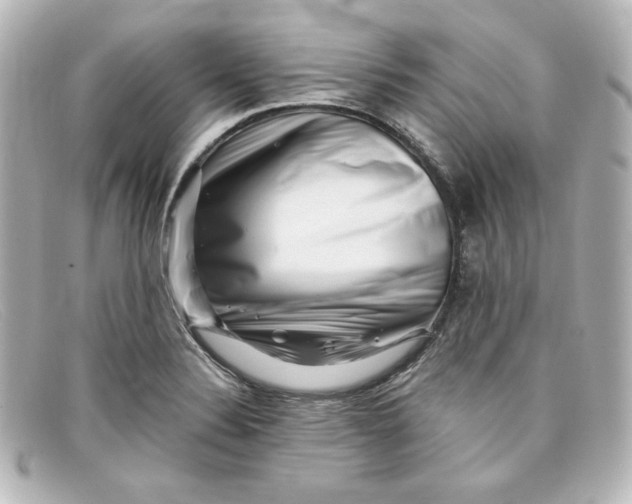 X0000098151324200805081033