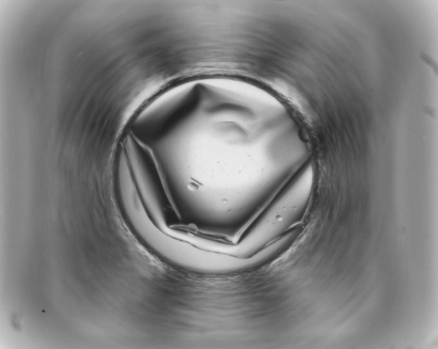 X0000098151325200805081033