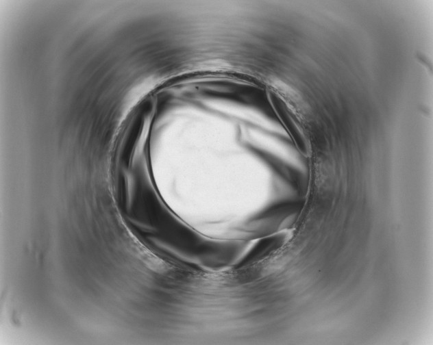 X0000098151326200805081033