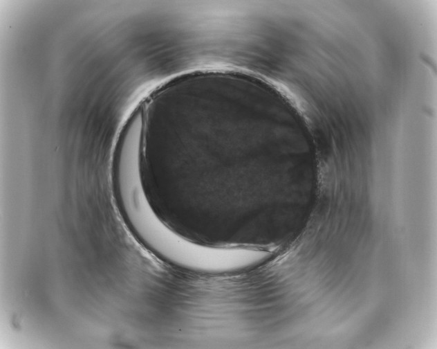 X0000098151327200805081033
