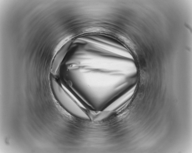 X0000098151330200805081033