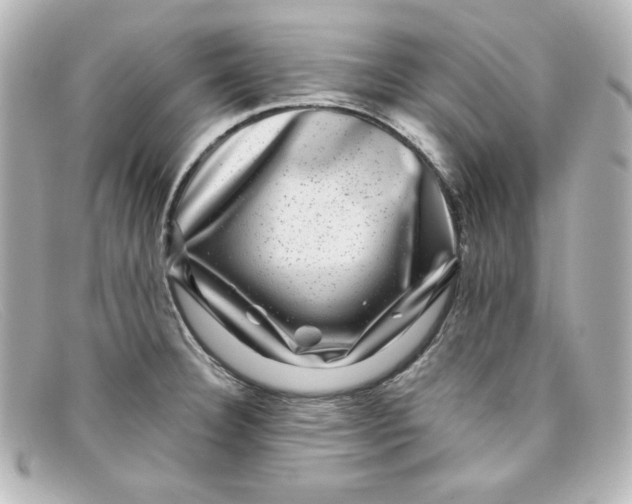 X0000098151332200805081033