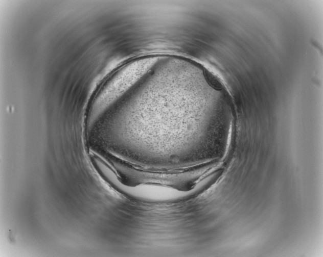 X0000098151333200805081033
