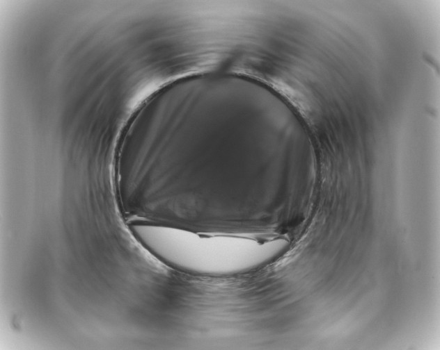 X0000098151334200805081033