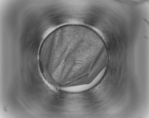 X0000098151335200805081033