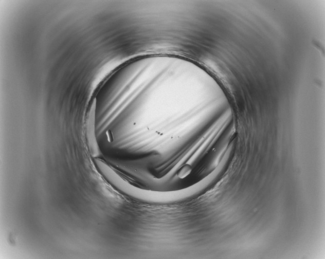 X0000098151336200805081033