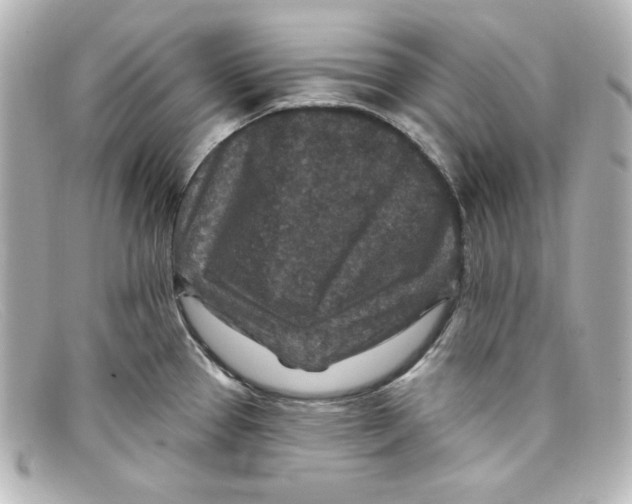 X0000098151337200805081033