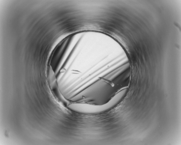 X0000098151339200805081033