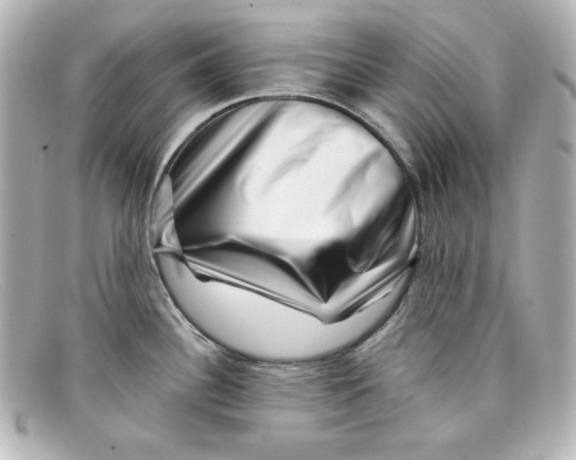 X0000098151340200805081033